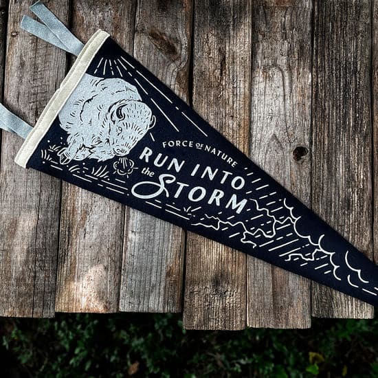 Into the Storm Pennant Flag